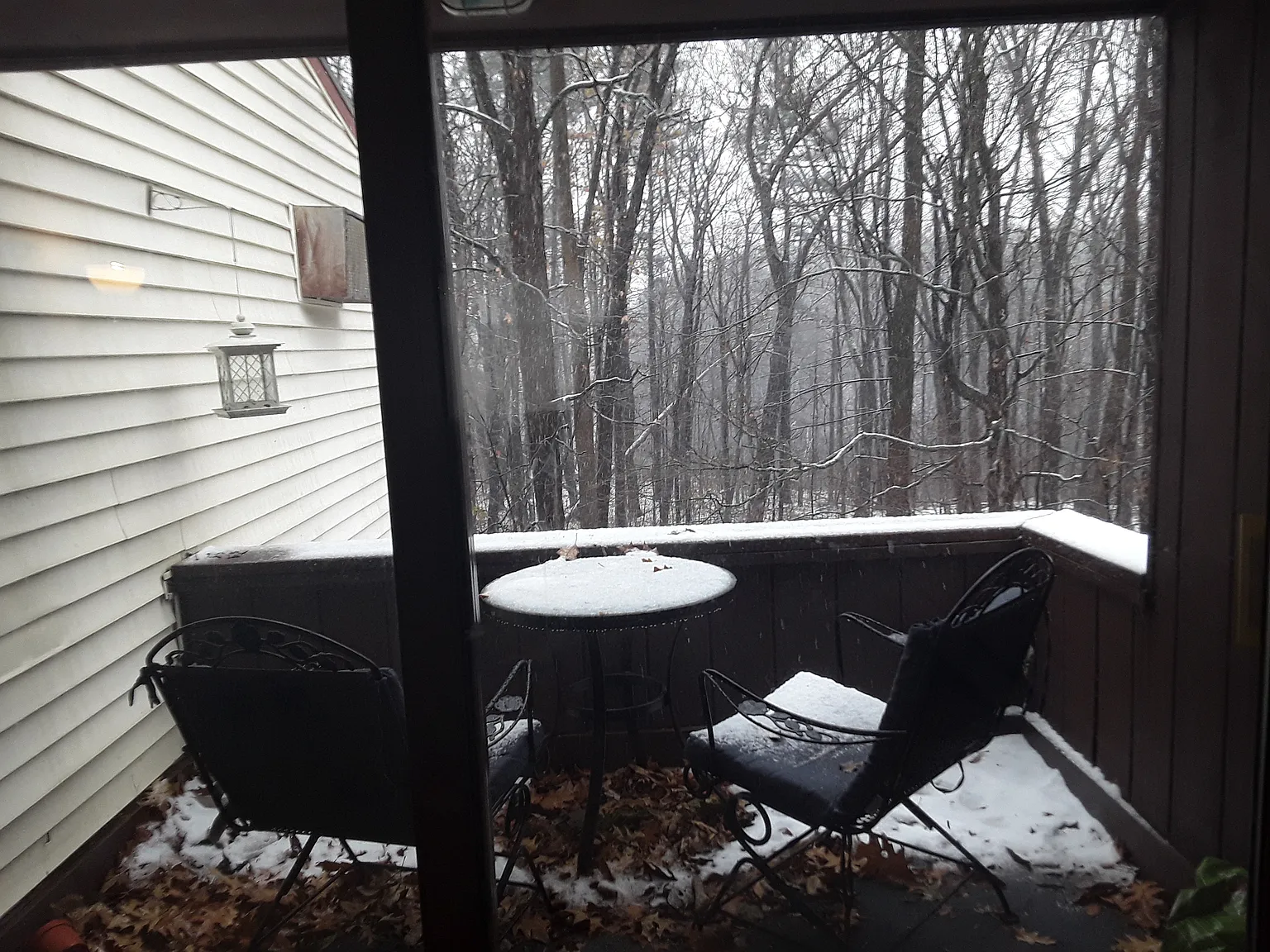 1 bed, 730 sqft, $1,900 — Photo 4