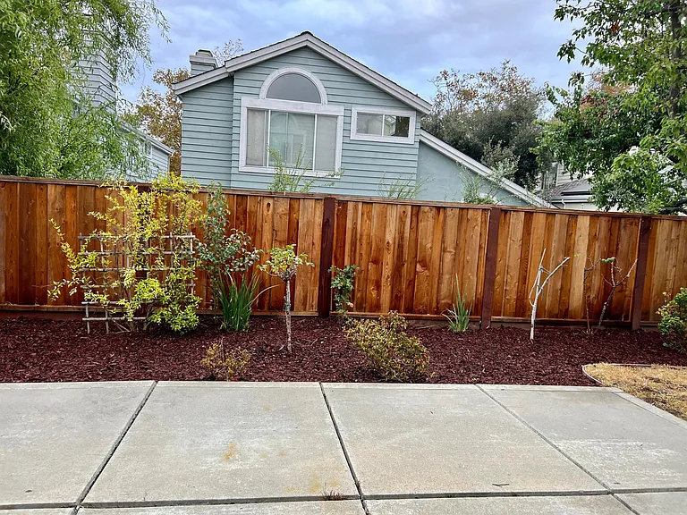 11688 Olive Spring Ct — Photo 22