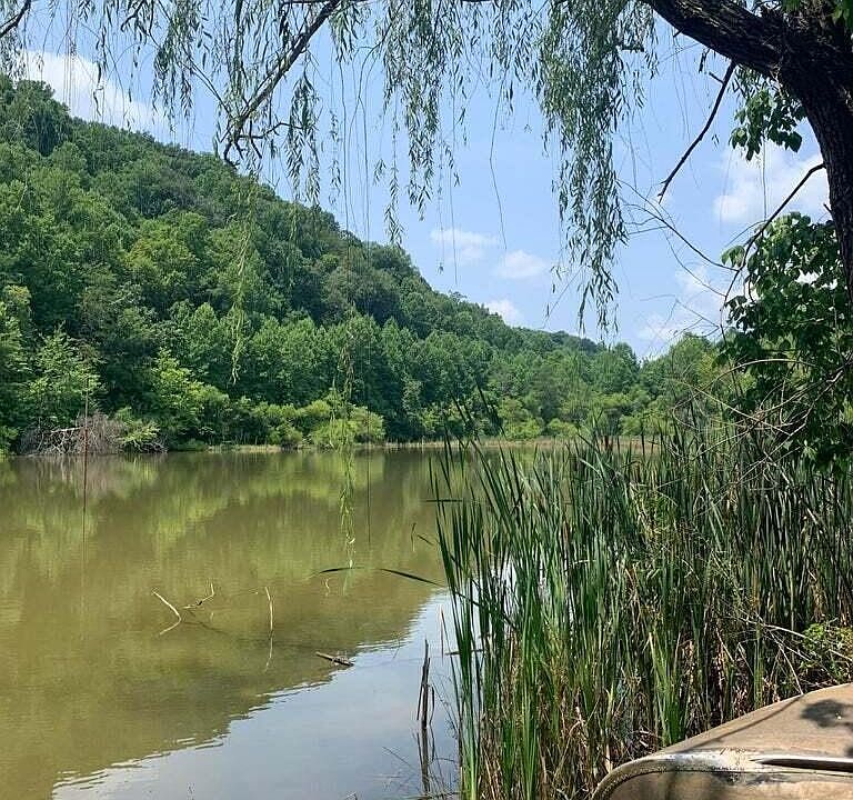 1st image of 0 Scenic River Rd
