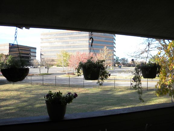 Overlooks grassy area w mature trees