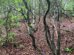 15A Patton Thicket Rd, Burnsville, NC 28714