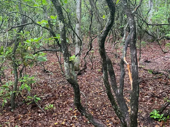 15A Patton Thicket Rd, Burnsville, NC 28714