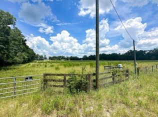 NE Sandspur Ln, Mayo, FL 32066