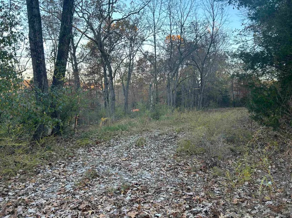LOT 56 Savannah Dr, Mountain Home, AR 72653