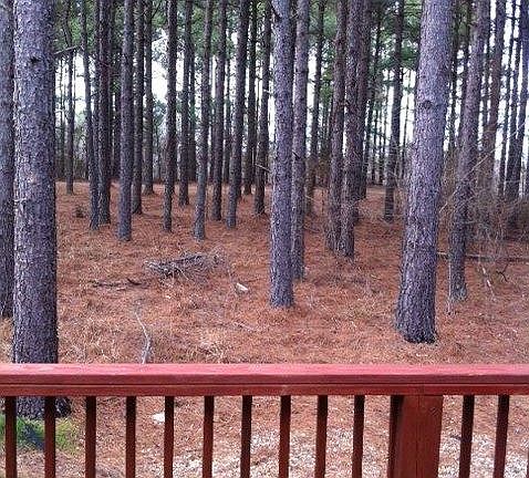 47 Victoria Lane - Back View of Woods