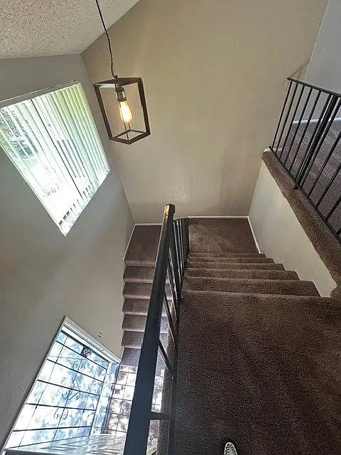 2 bed, 1000 sqft, $2,300 — Photo 3