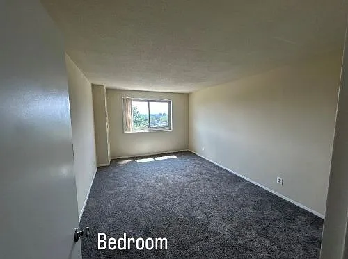 9727 Mount Pisgah Rd — Photo 127