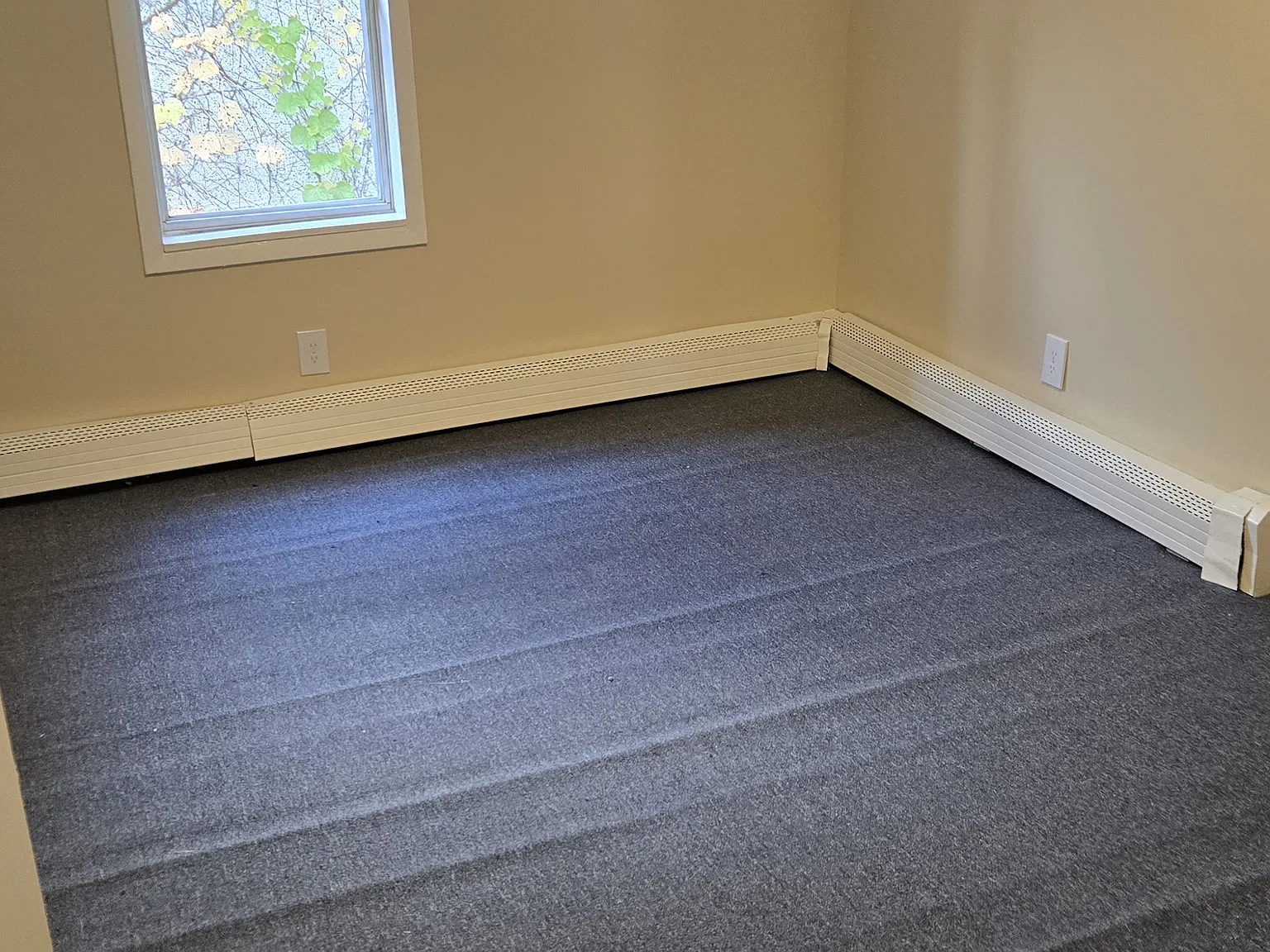 3 bed, $1,050 — Photo 3