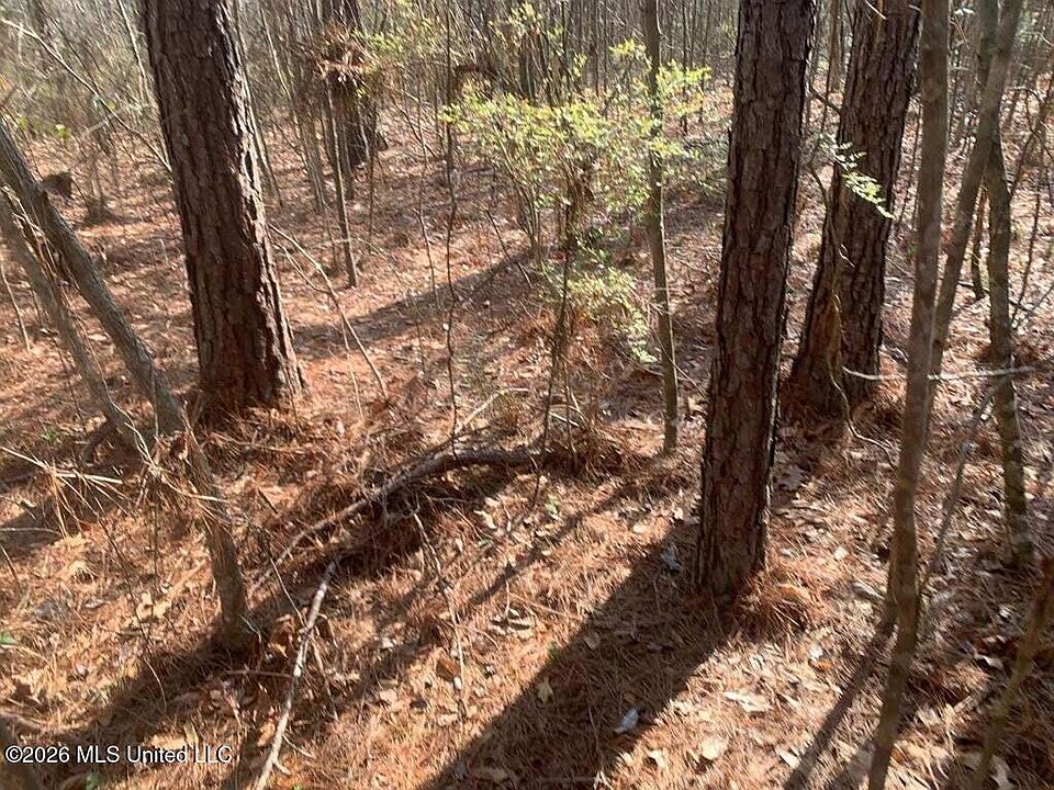 1st image of 0 Grove St