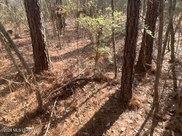 0 Grove St, Wesson, MS 39191