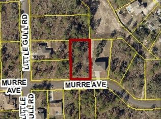 12129 Murre Ave, Weeki Wachee, FL 34614