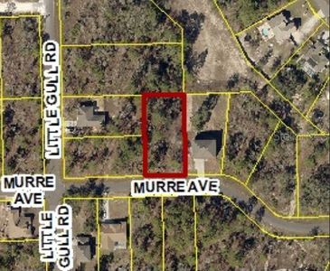 12129 Murre Ave, Weeki Wachee, FL, 34614