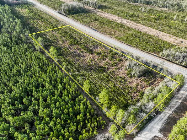 0 Tract Hwy #1-32, Hortense, GA 31543