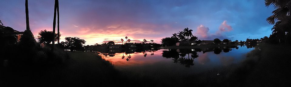 Backyard view