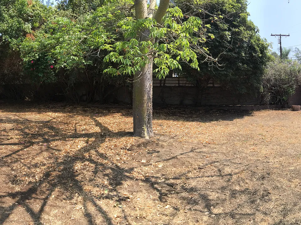 Huge Back Yard