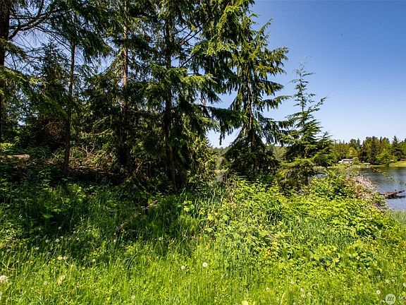 A peaceful retreat nestled among towering trees.