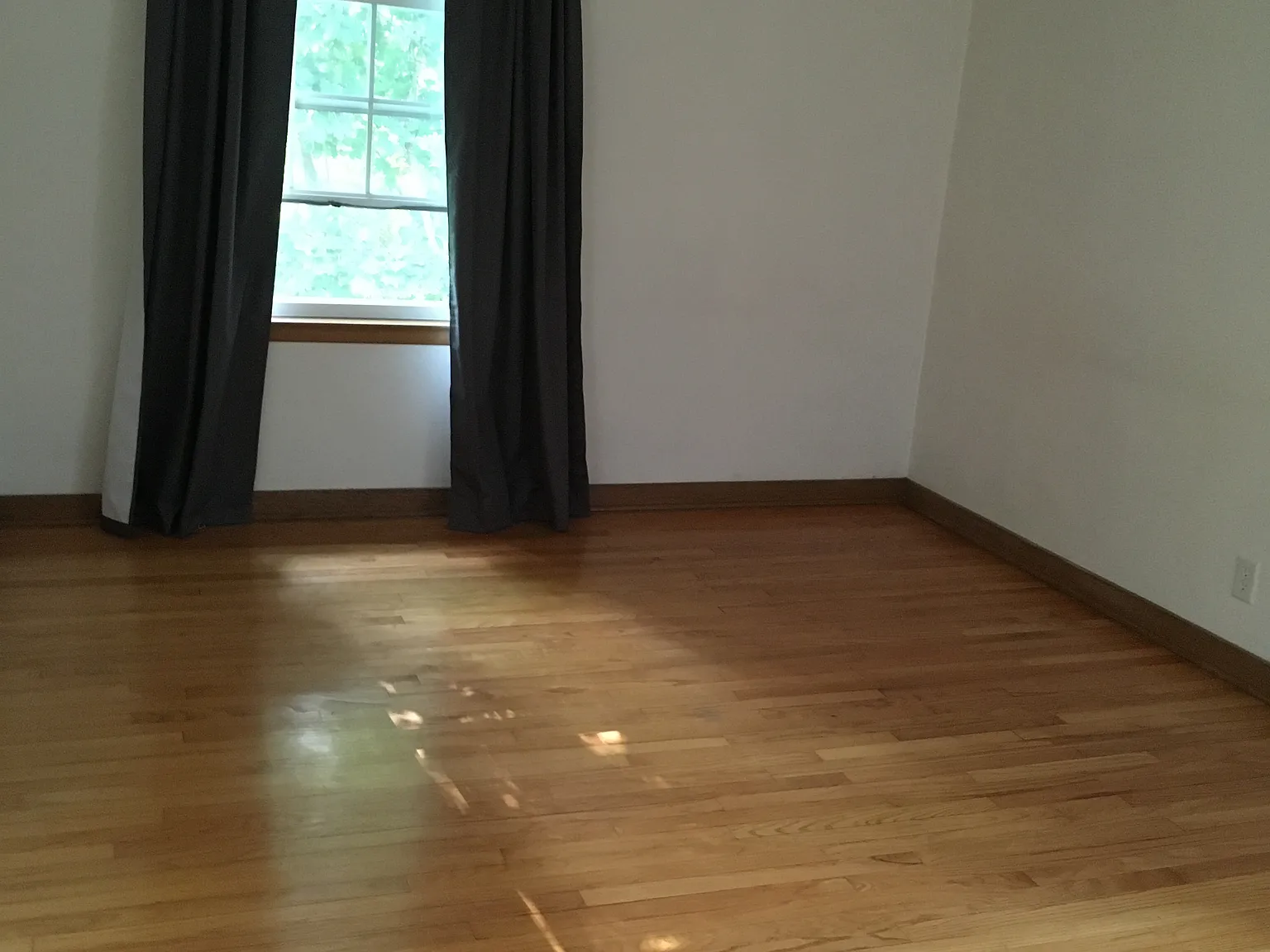 1 bed, $1,600 — Photo 4