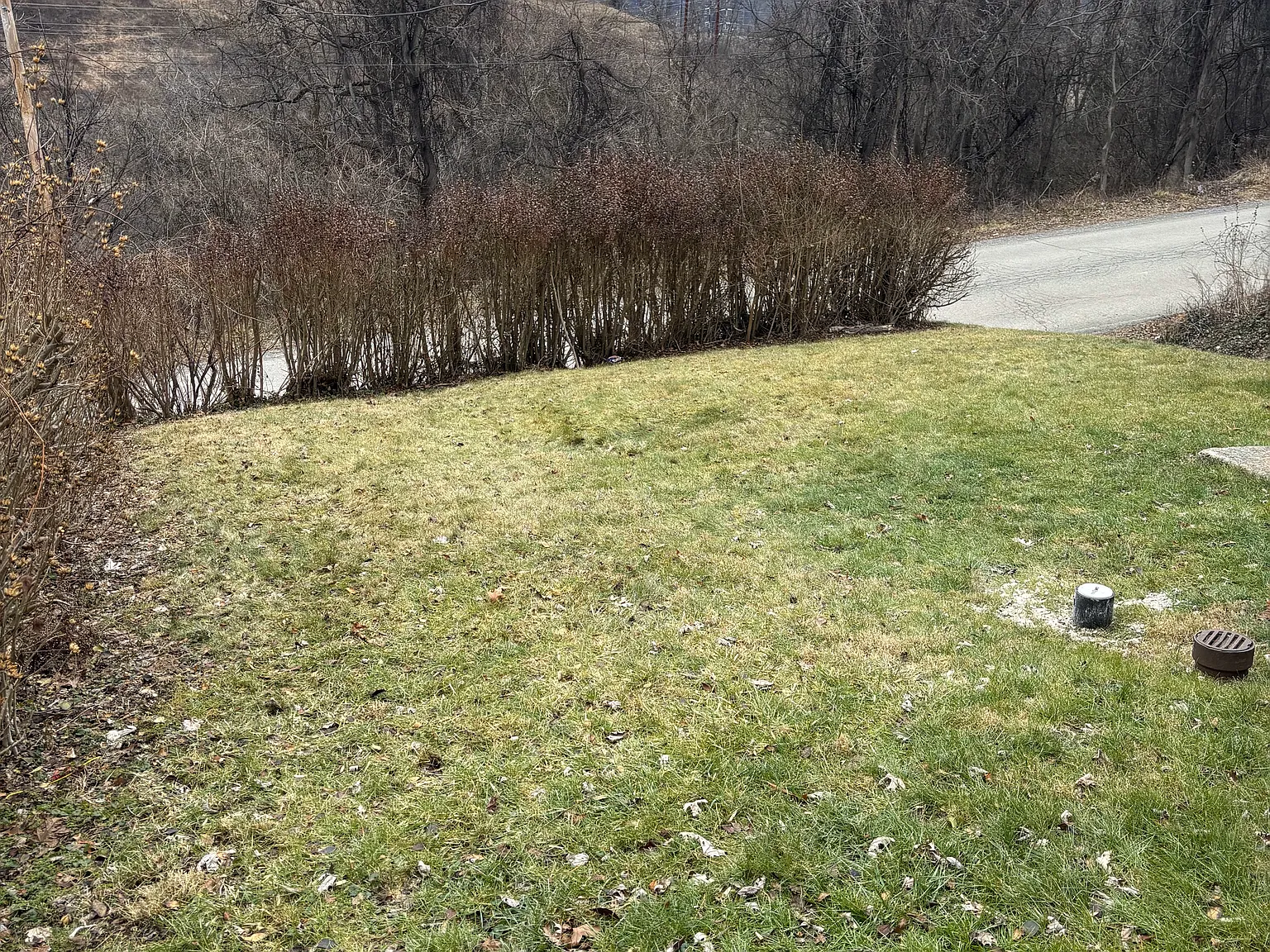3 bed, 1650 sqft, $1,450 — Photo 4