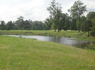 30636 Heron Vw, Springfield, LA 70462