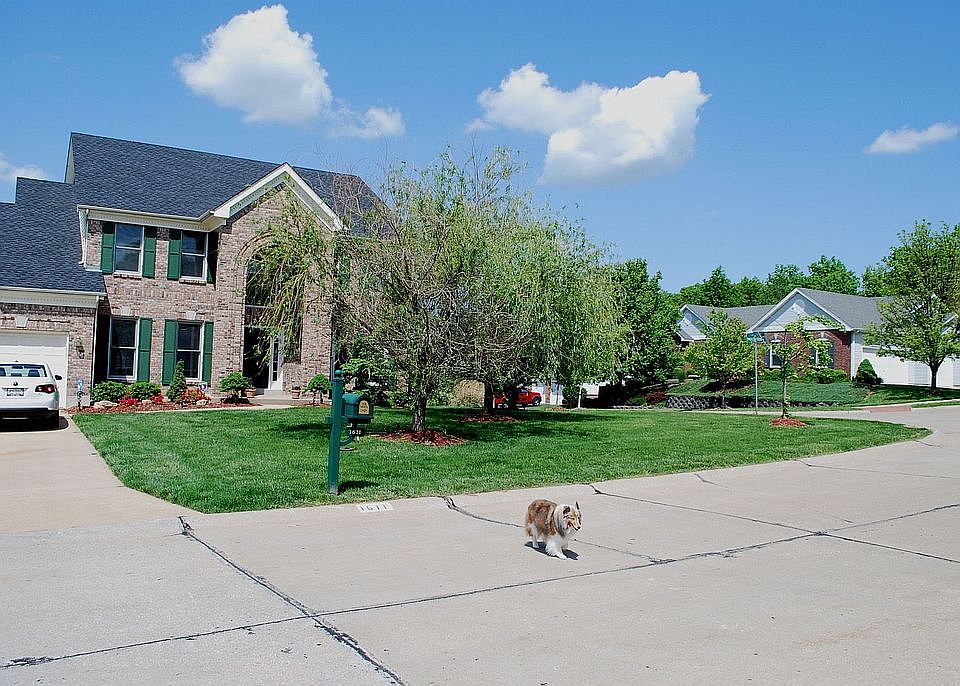 Front Street view