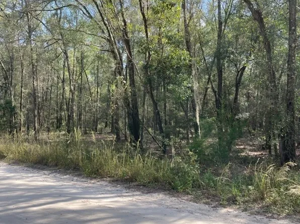 LOT  12 202nd St, Wellborn, FL 32094