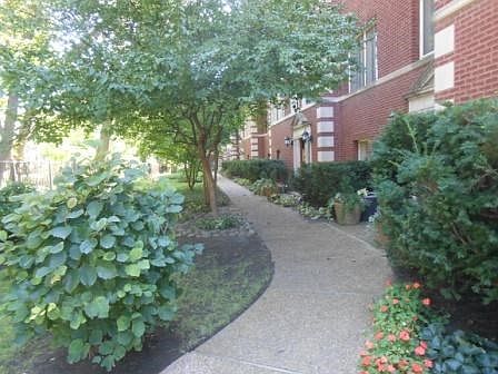 3rd image of 1033 Ontario St APT 3CS