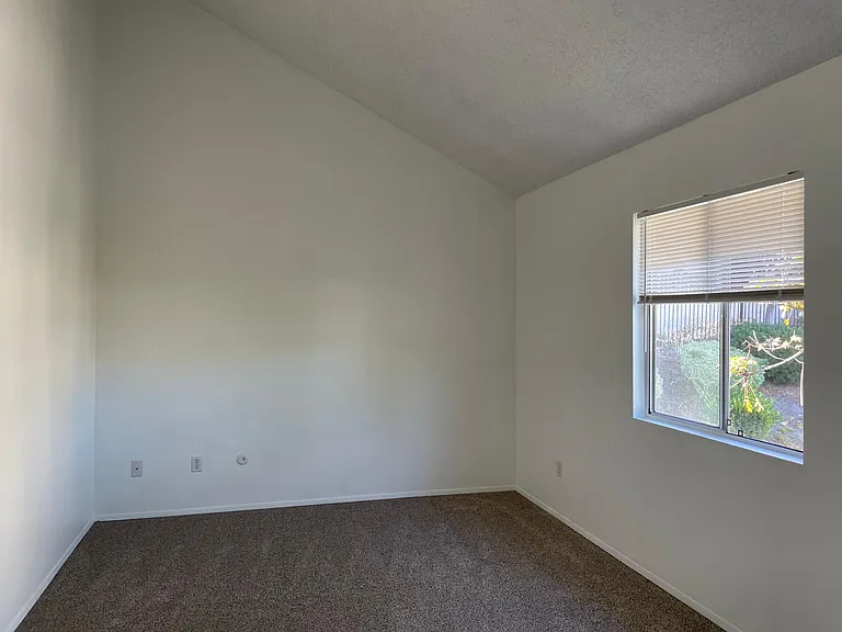 3988 Caminito Patricia — Photo 41