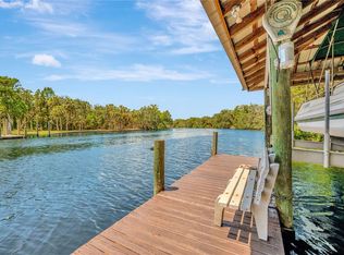 11526 River Country Dr, Riverview, FL 33569