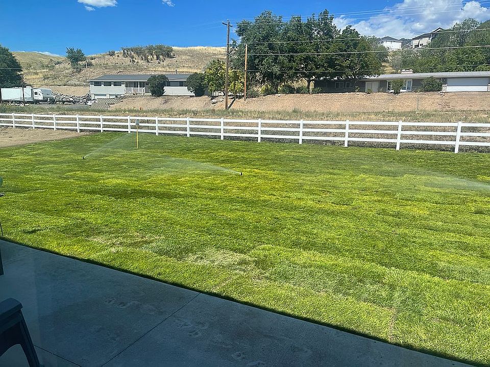 Rear Lawn