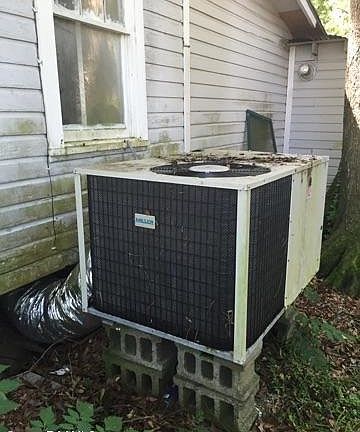 5th image of 4918 Dolphin St