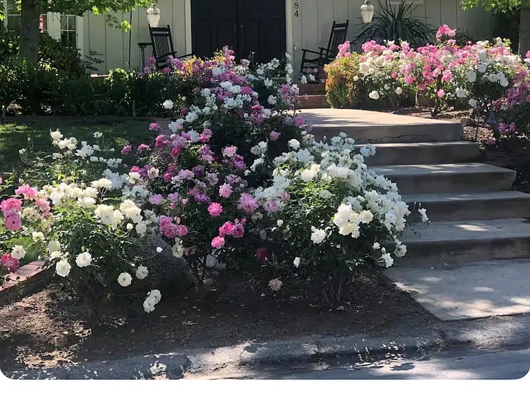 El Monte Dr — Photo 1