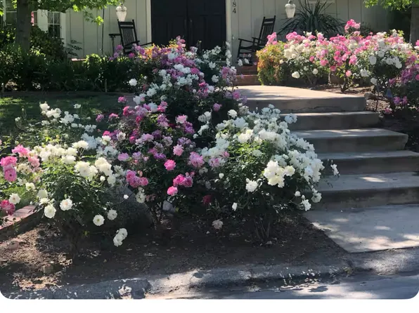(undisclosed Address), Thousand Oaks, CA 91362