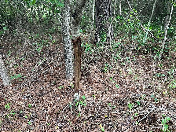 4th image of 565 County Road 361