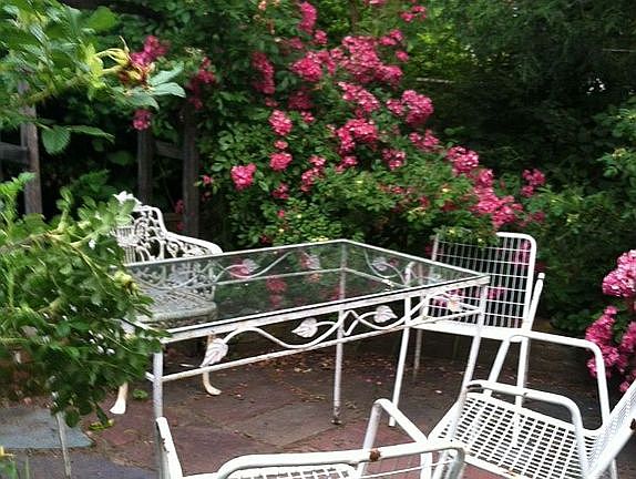 Rose Garden