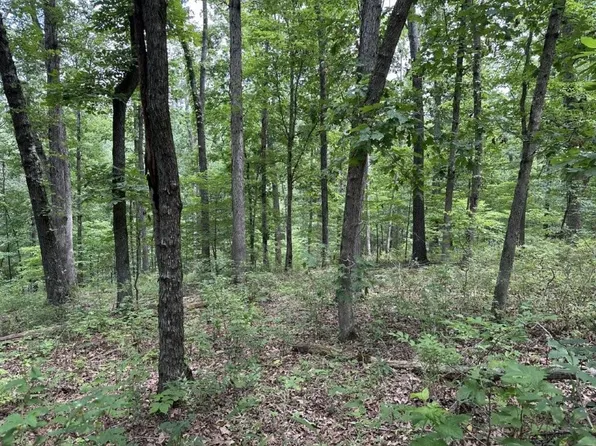 7 Eccleston Ln, Bella Vista, AR 72714