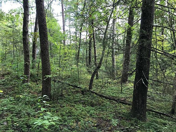 5th image of 0 Sencebaugh Dr Lot 19A