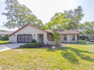 9141 Horizon Dr, Spring Hill, FL 34608