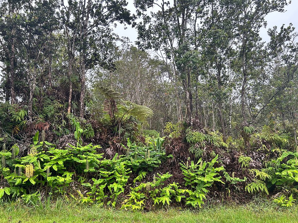 1st image of Alaula St Lot 462