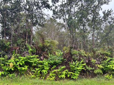 Alaula St Lot 462, Volcano, HI, 96785