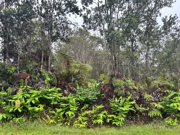 Alaula St Lot 462, Volcano, HI 96785