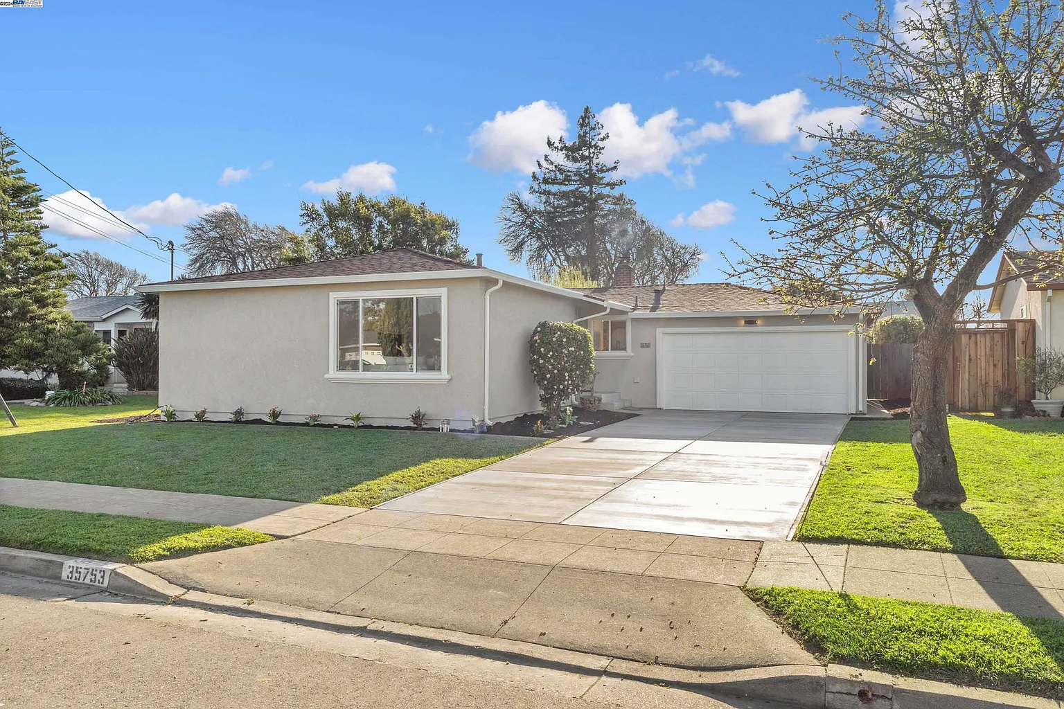 35753 Orleans Dr photo 1