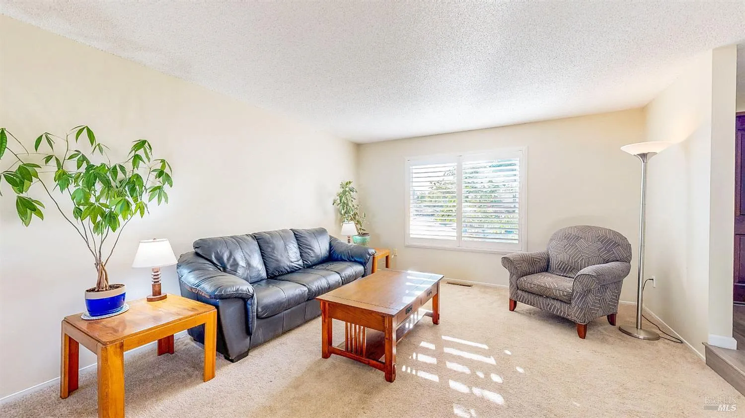 1702 Capistrano Drive - Photo 9