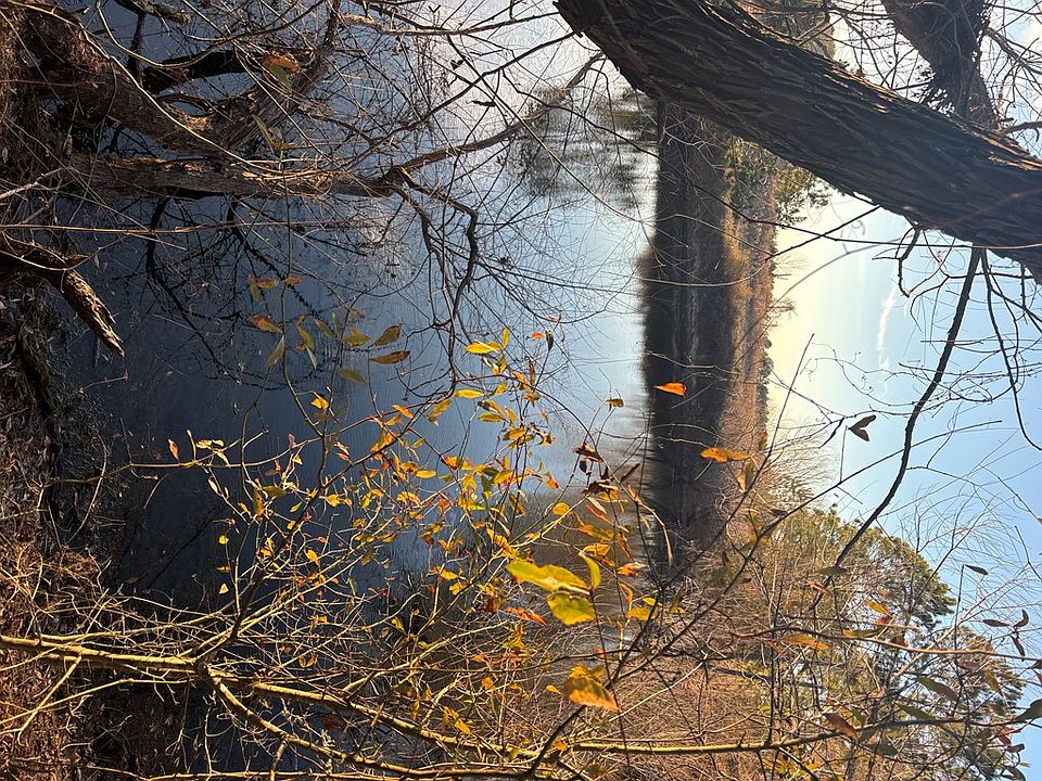 2nd image of 124 Flicker Ln