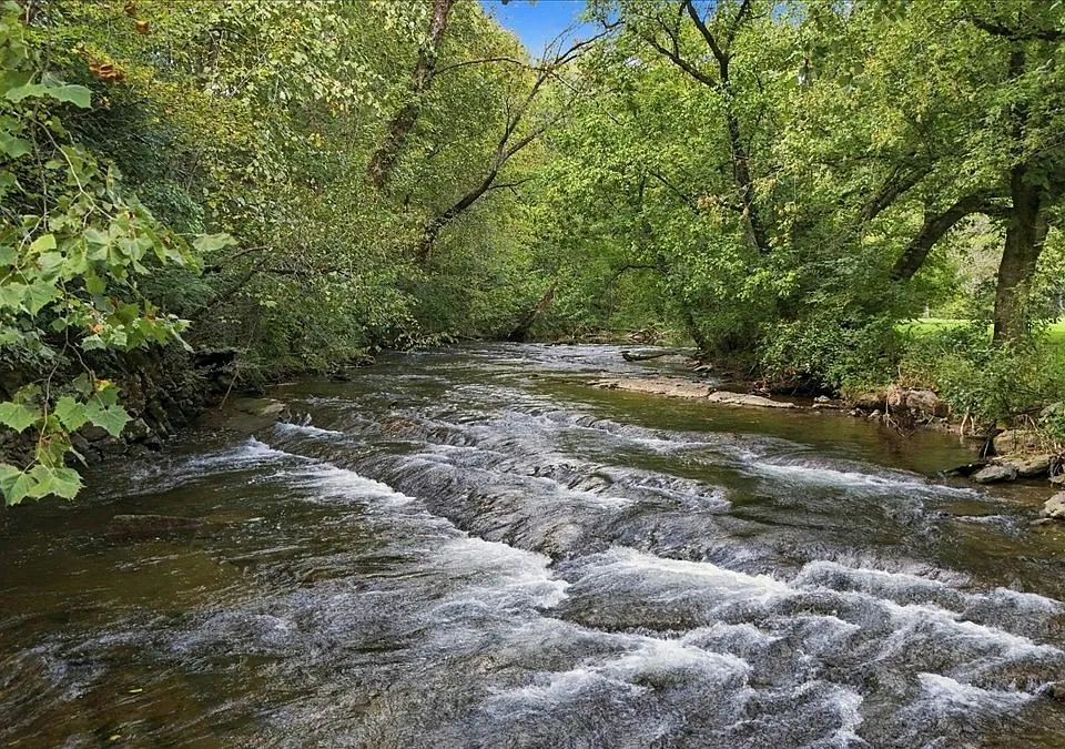 Beaver Creek