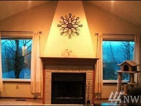 Living room's fireplace