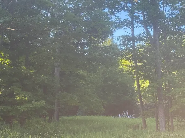 M69 Highway, Sagola, MI 49881