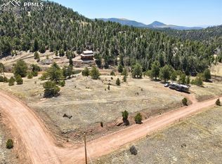 386 Penrose Cir, Cripple Creek, CO 80813
