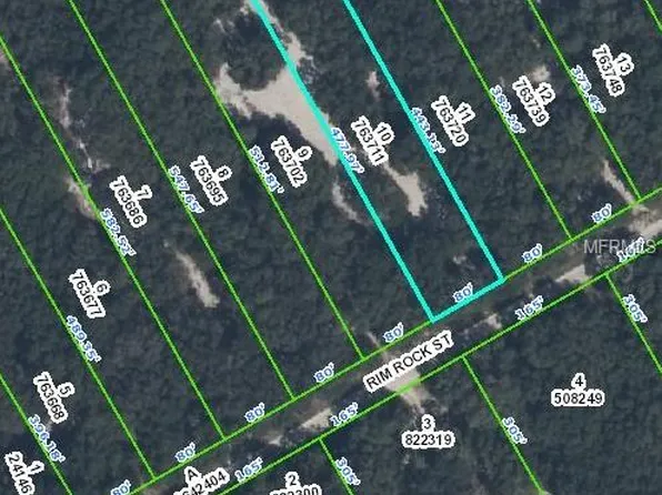 Rim Rock St, Webster, FL 33597