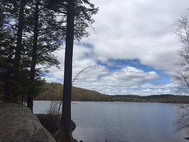 42 Pleasant Dr — Photo 20