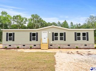 3515 Ballpark Rd, Effingham, SC 29541